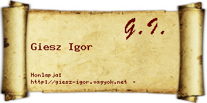 Giesz Igor névjegykártya